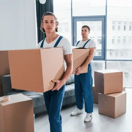 movers-carrying-boxes-in-bright-apartment-2026-09-22-03-03-39-utc
